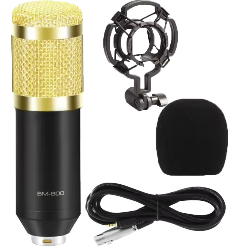 BM800 Condenser Microphone