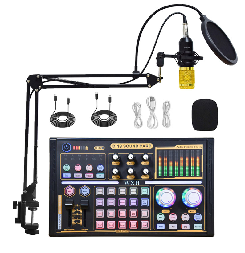 DJ18 Soundcard With BM800 Condenser Microphone