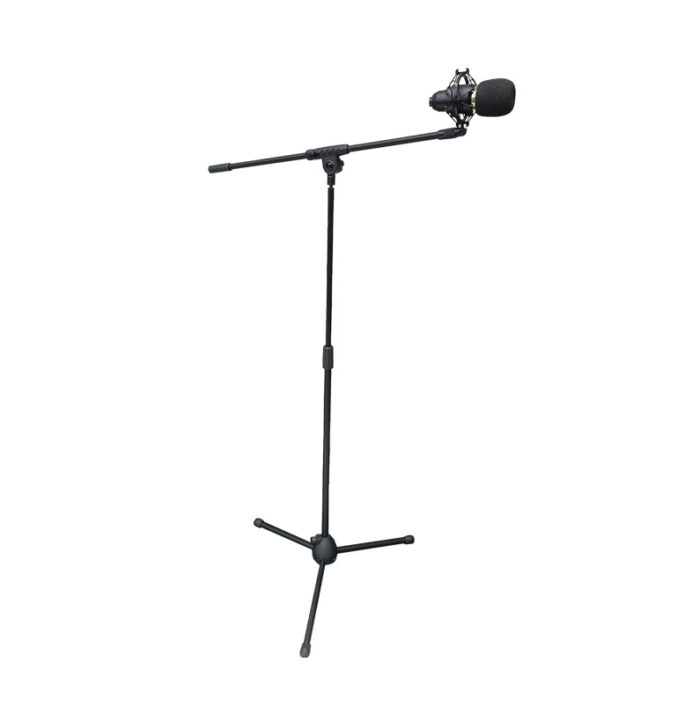 Heavy Duty Floor Microphone Stand