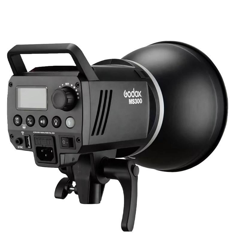 MS300 GODOX Strobe Flash Light