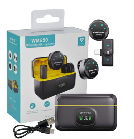 WM650 Dual Wireless Microphone